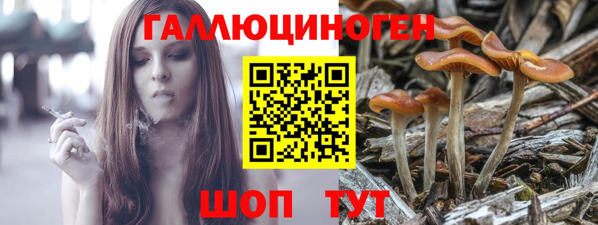 где продают   Псилоцибиновые грибы мухоморы  Вход с VPN  Псилоцибиновые грибы Cubensis  Майский 